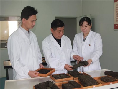 傳承茯茶非遺技藝、開拓創(chuàng)新引領(lǐng)行業(yè)發(fā)展