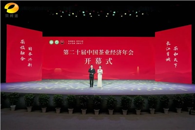 【聚焦第二十屆中國茶業(yè)經(jīng)濟年會】益陽茶廠榮獲“民族團結(jié)互助企業(yè)”、“2024年度茶業(yè)重點企業(yè)”榮譽稱號